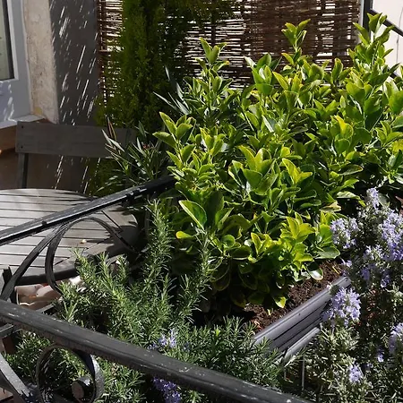 Une Ame A : Cote Cour * Nîmes